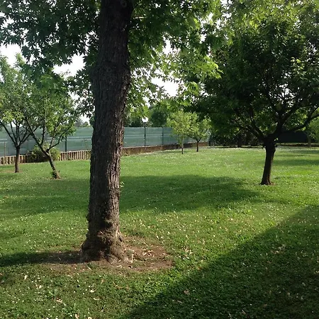 Bed & Breakfast Country